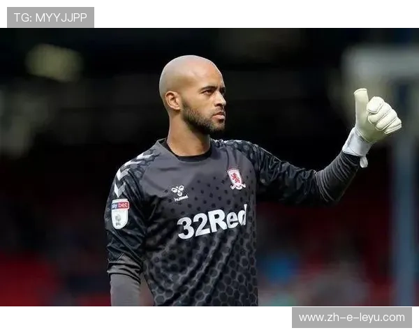 奥林匹亚科斯决定在冬窗完善中后场轮换方案