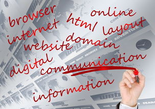 LEYU乐鱼体育官方网站-中国篮球联赛俱乐部品牌建设与粉丝忠诚度提升研究，国内篮球俱乐部