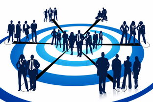 乐鱼电竞-中国篮球联赛俱乐部管理模式创新与实践，篮球俱乐部管理方案