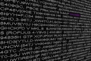 乐鱼app-德甲球队利用大数据分析优化进攻转换效率，2021德甲用球