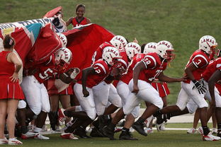 乐鱼（中国）体育官方网站-国家队技战术水平提升瓶颈，国家技巧队