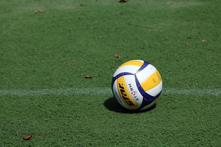 乐鱼（LEYU）体育-中国男排世锦赛名单出炉，江川任队长带队，2022年中国男排世锦赛